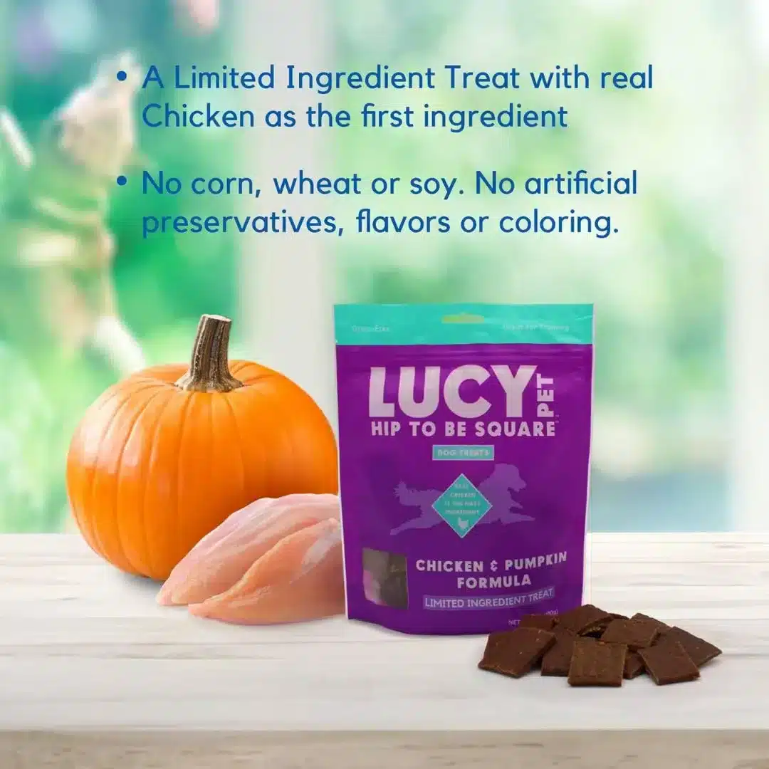 Lucy Pet Hip to Be Square Chicken N Pumpkin - 6oz - Image 3