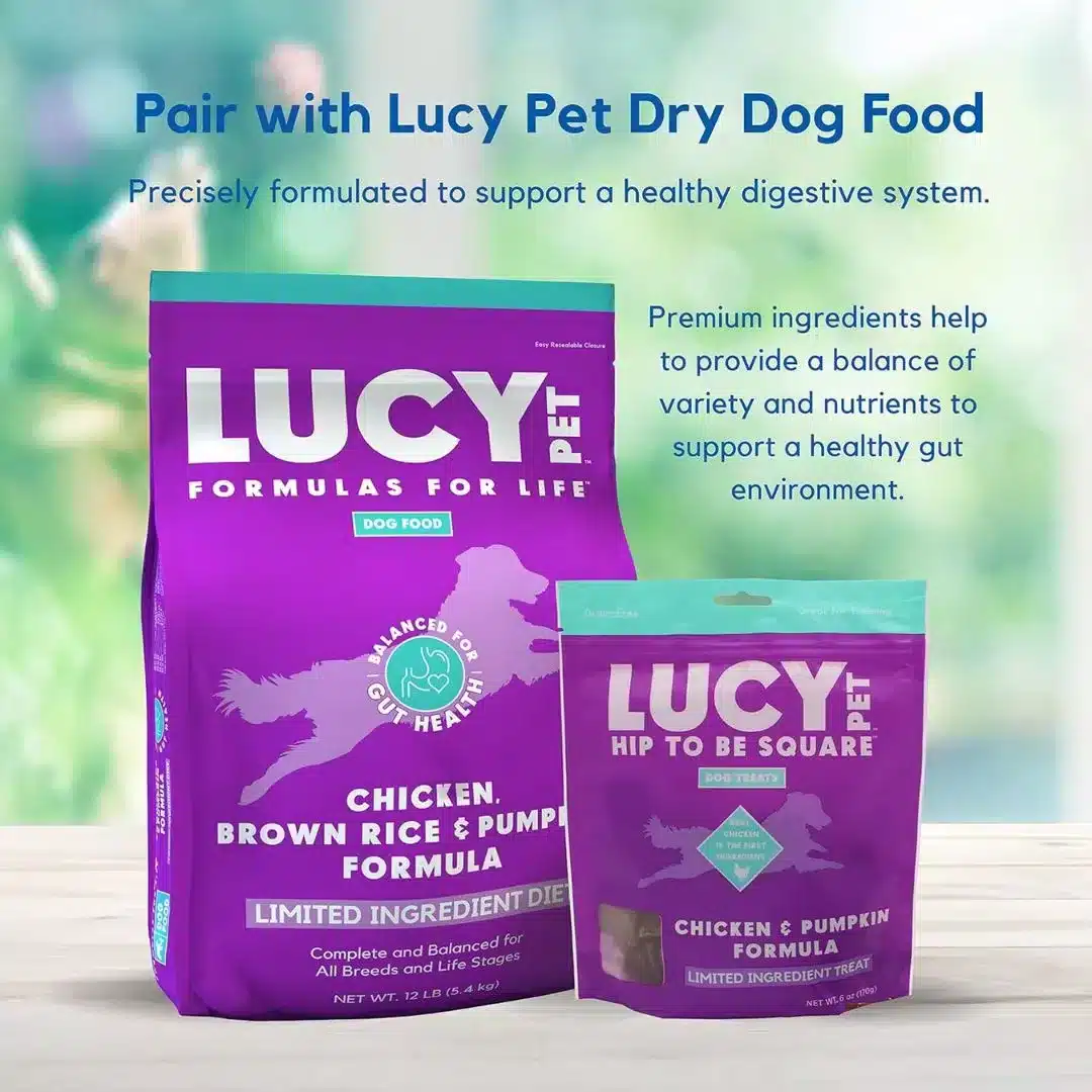 Lucy Pet Hip to Be Square Chicken N Pumpkin - 6oz - Image 4