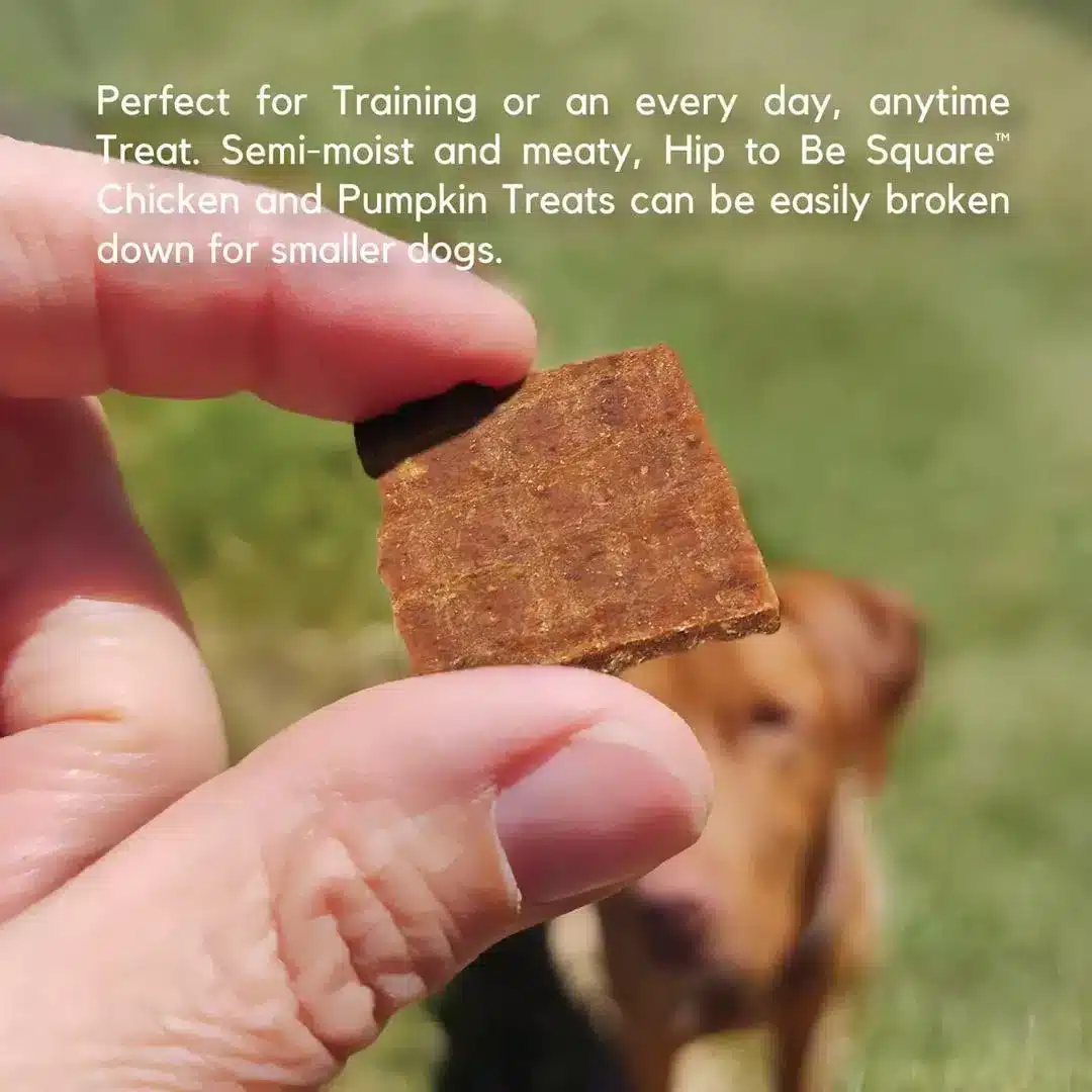 Lucy Pet Hip to Be Square Chicken N Pumpkin - 6oz - Image 6