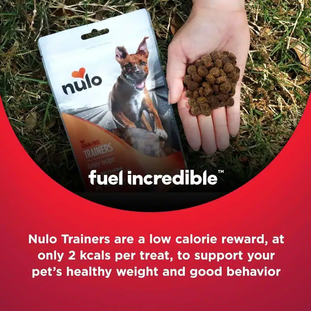 Nulo Trainers Salmon Receipe - 4oz - Image 6